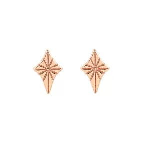 Tyra Star Studs